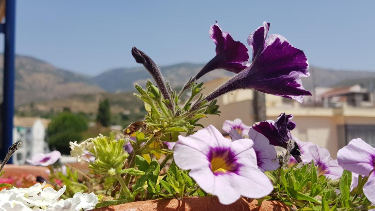 Posada Alpujarra Sol Orgiva Dış mekan fotoğraf
