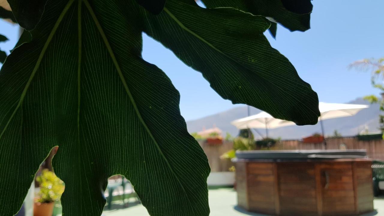 Posada Alpujarra Sol Orgiva Dış mekan fotoğraf