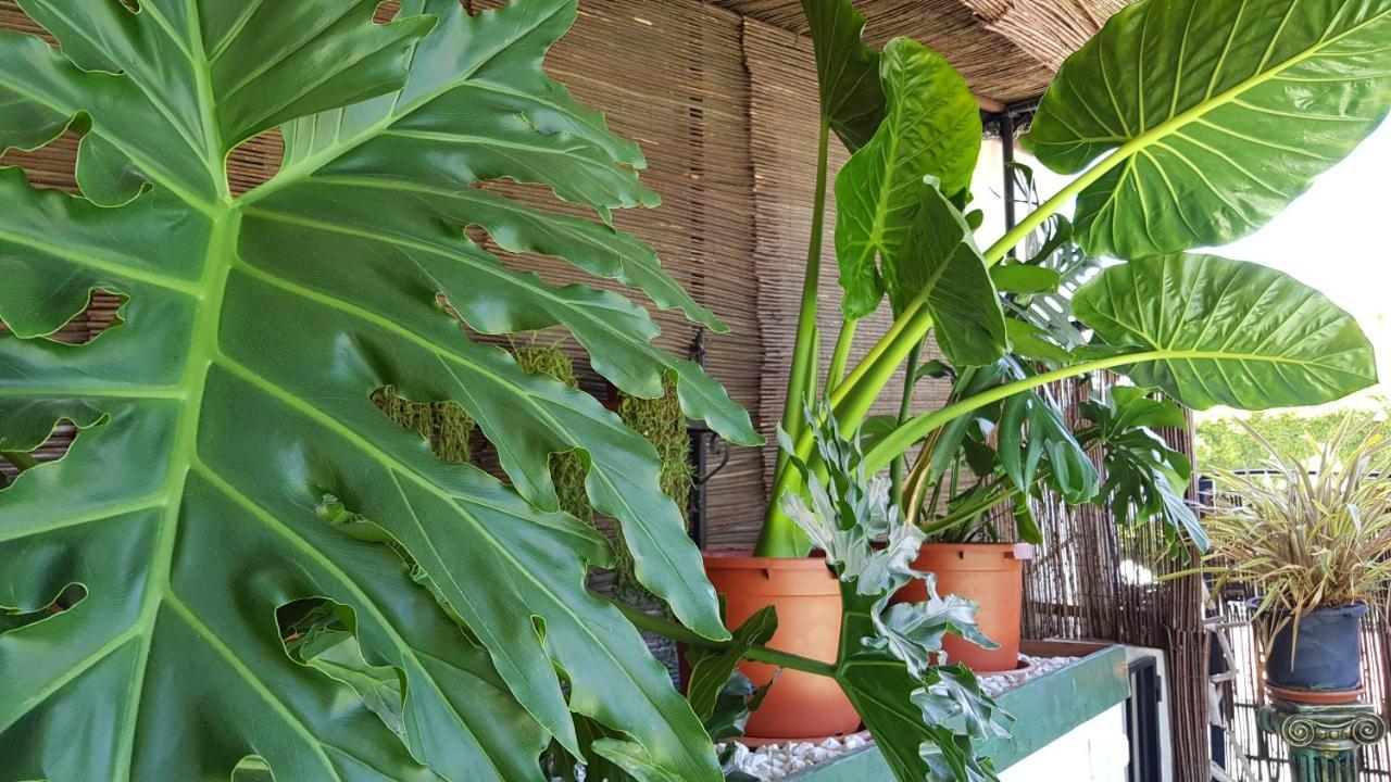 Posada Alpujarra Sol Orgiva Dış mekan fotoğraf